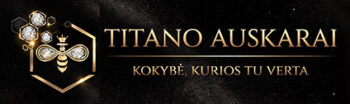 Titano auskarai